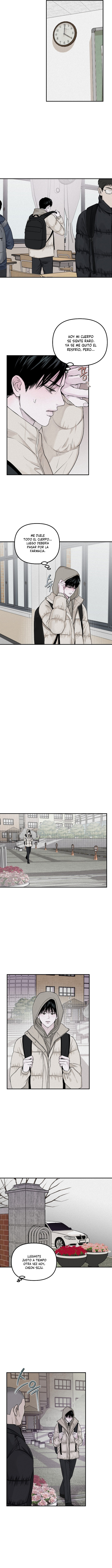 Proyeccion capítulo 22 página 3