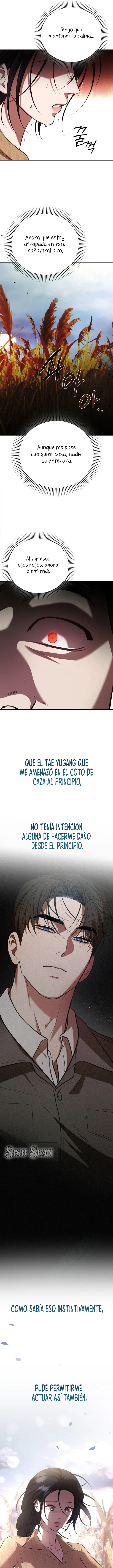 Conservar capítulo 17 página 5