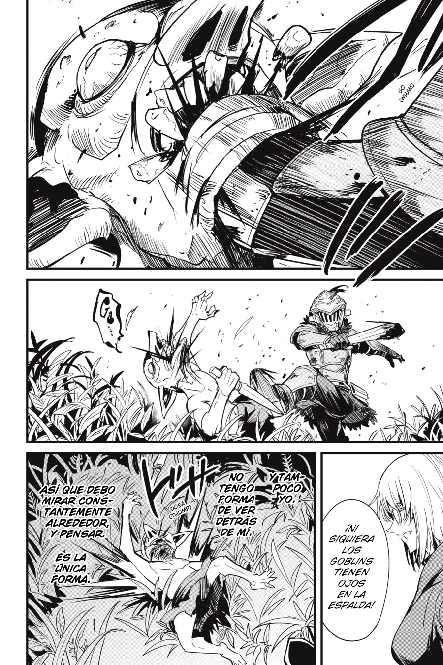 Goblin Slayer: Year One capítulo 126 página 17