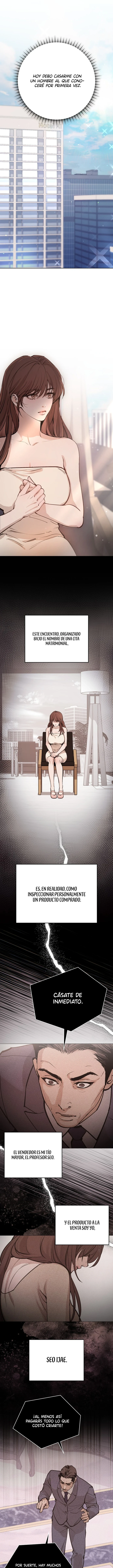 Travesuras con mi esposa capítulo 1 página 1