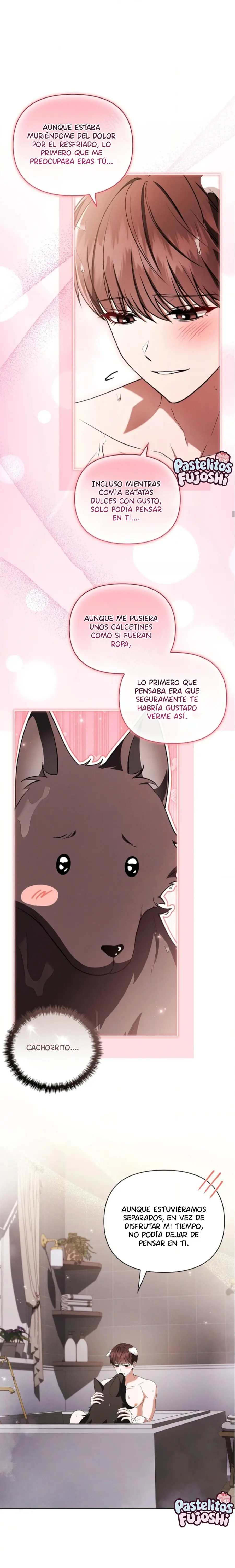 no toques el perro capítulo 70 página 15