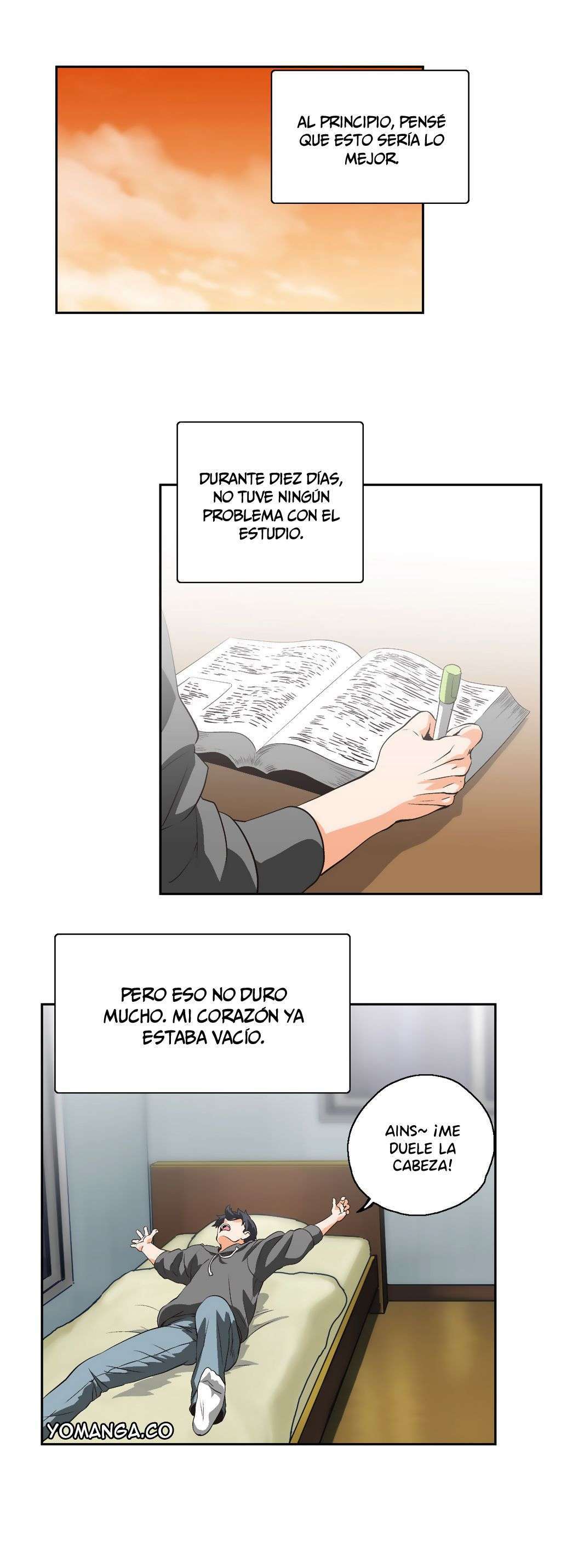 SStudy capítulo 12 página 7