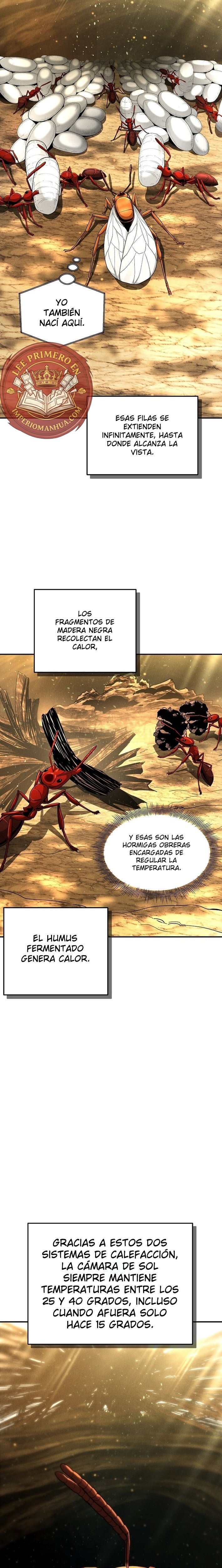 El imperio de las hormigas capítulo 17 página 20