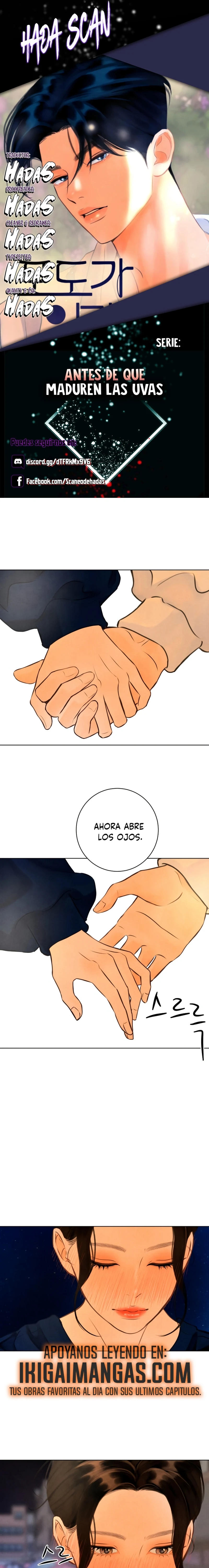 Antes de que maduren las uvas capítulo 11 página 1