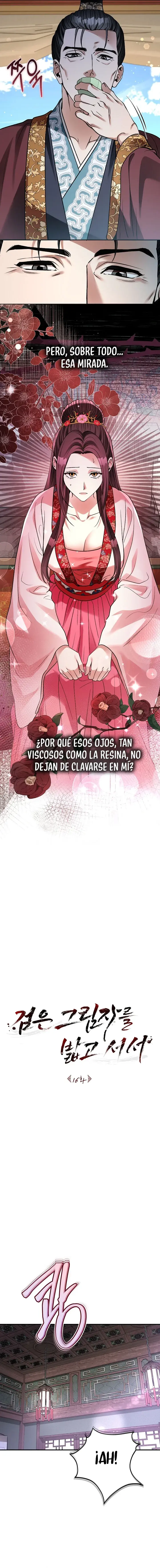 Sobre la Sombra Negra capítulo 16 página 2