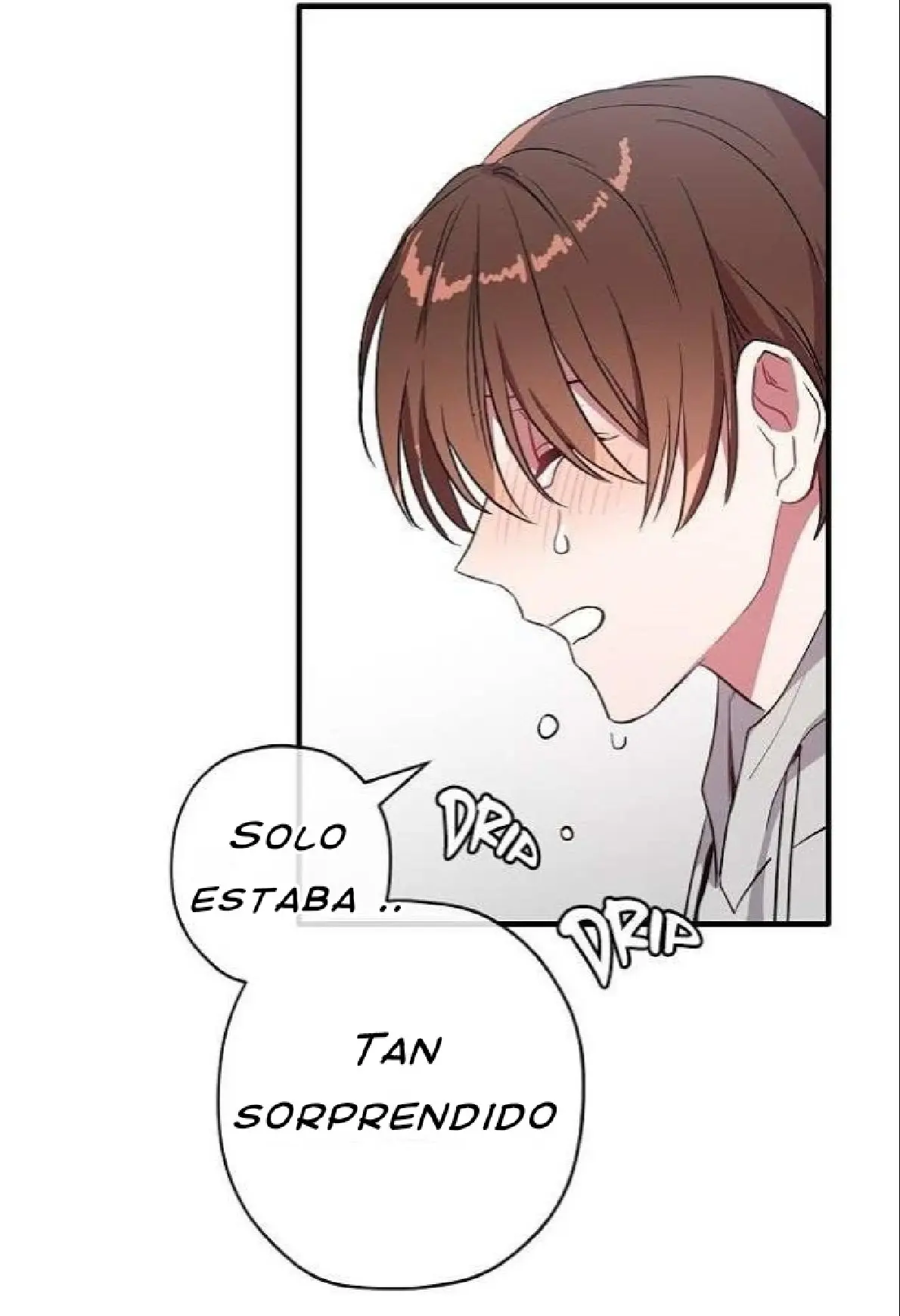 Persiguiendo Al Ceo capítulo 13 página 18