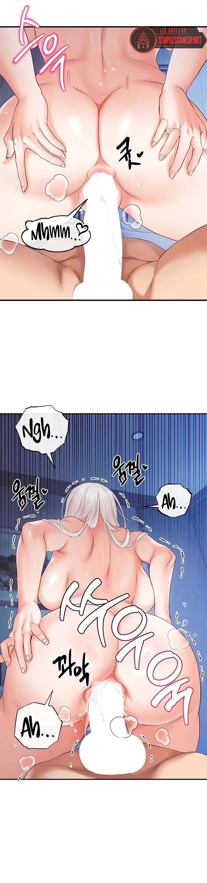 Venganza con mi harem capítulo 26 página 12