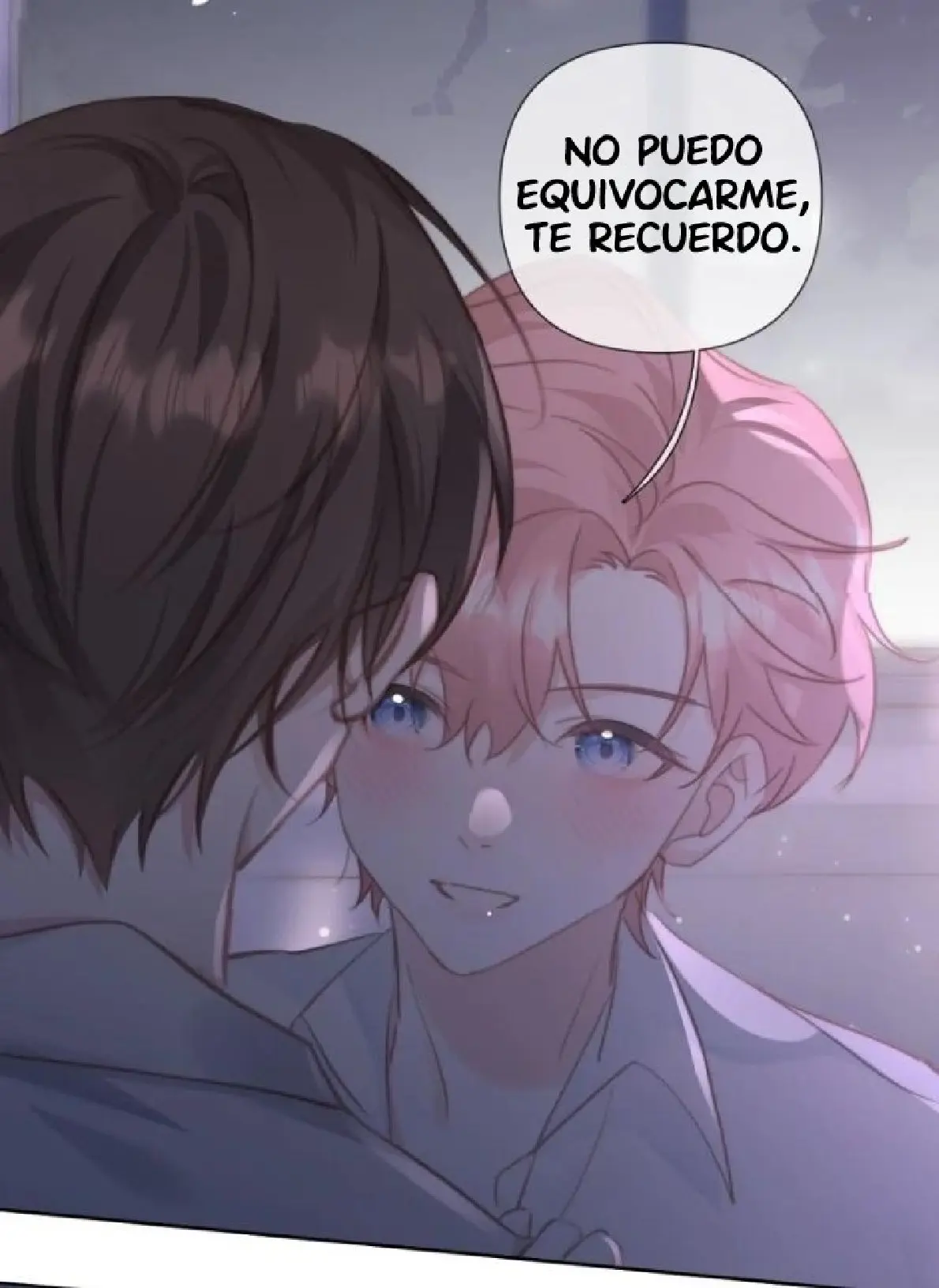 Acuerdo De Matrimonio capítulo 20 página 46