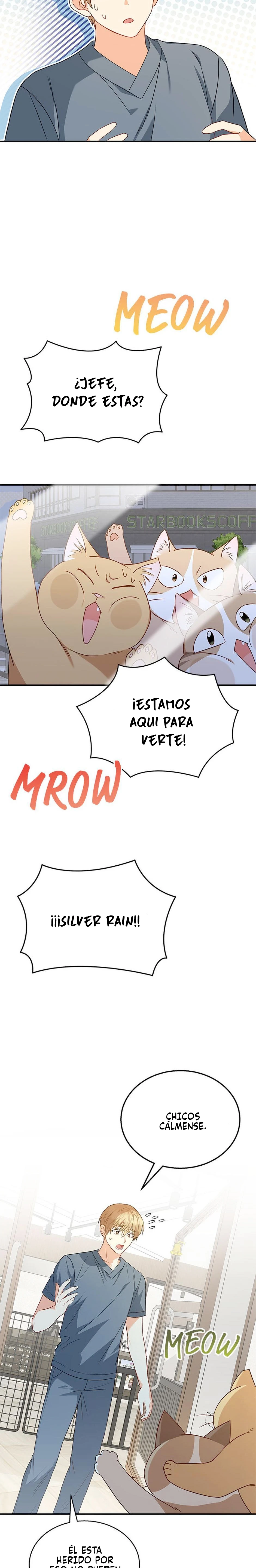 Veterinario Hola capítulo 14 página 14