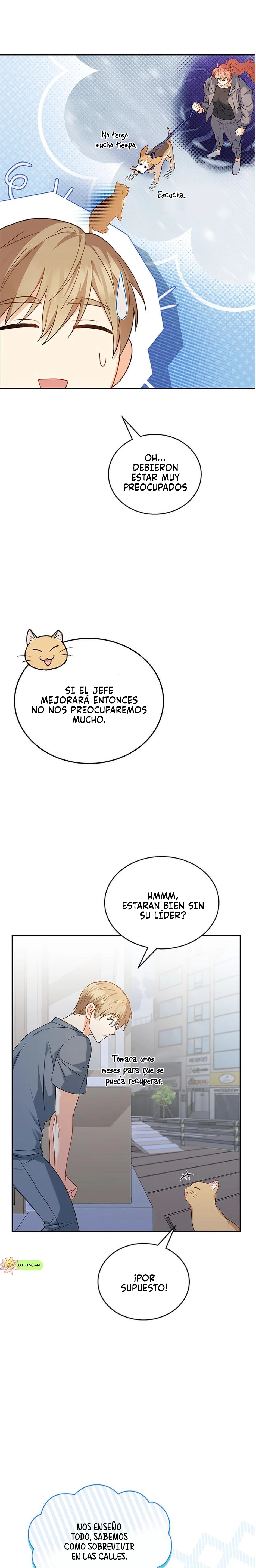 Veterinario Hola capítulo 14 página 17