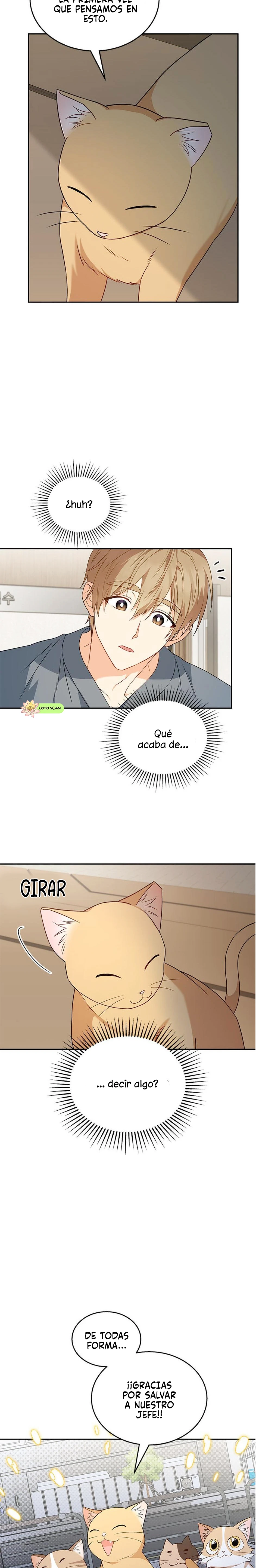 Veterinario Hola capítulo 14 página 19