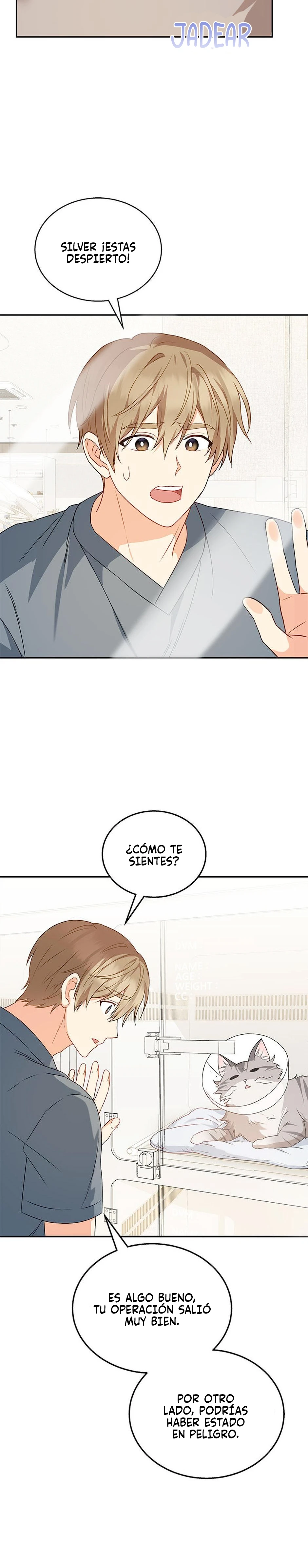 Veterinario Hola capítulo 14 página 22