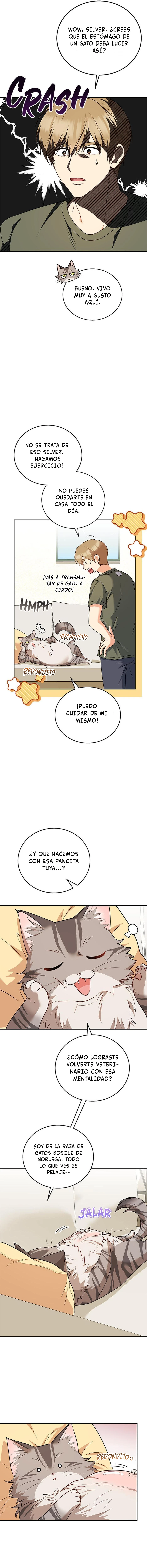 Veterinario Hola capítulo 28 página 11