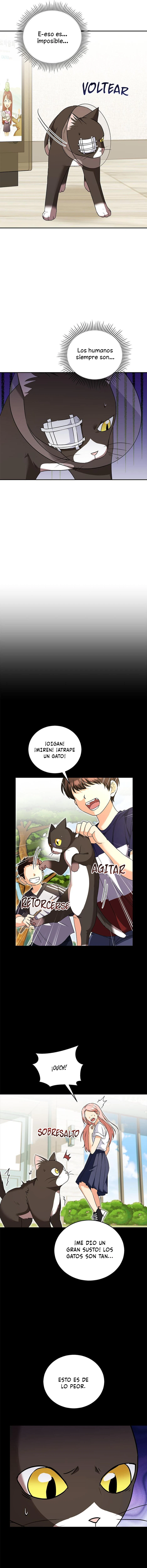 Veterinario Hola capítulo 28 página 6