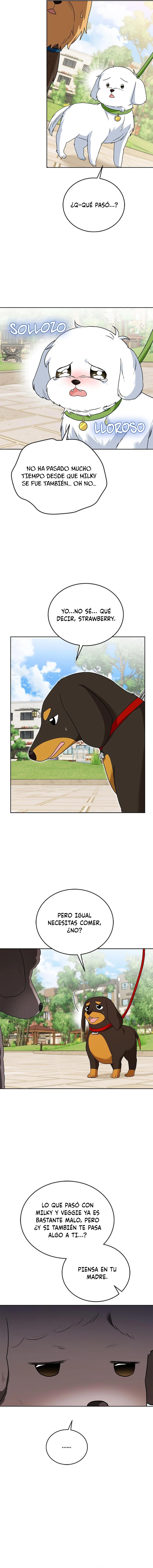 Veterinario Hola capítulo 32 página 13