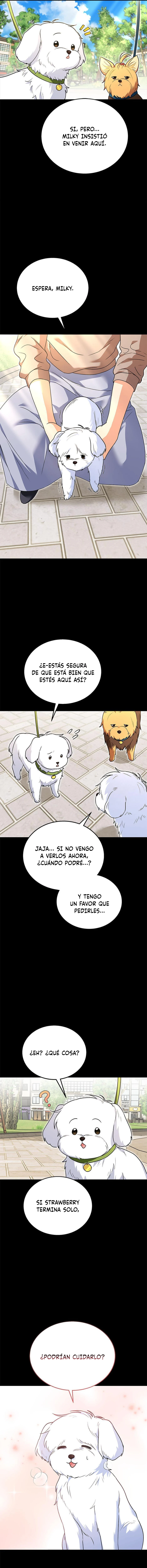 Veterinario Hola capítulo 32 página 3