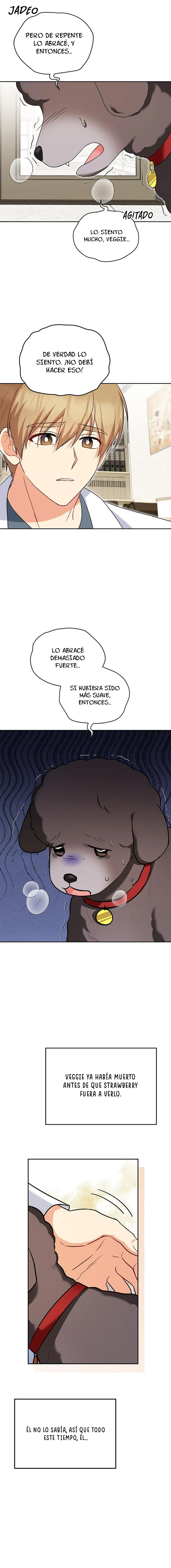 Veterinario Hola capítulo 34 página 8