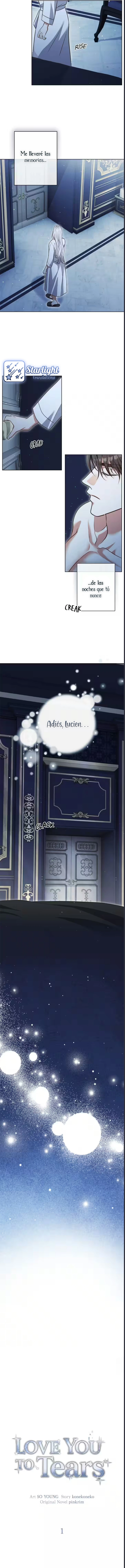 Amarte hasta las lágrimas capítulo 1 página 8
