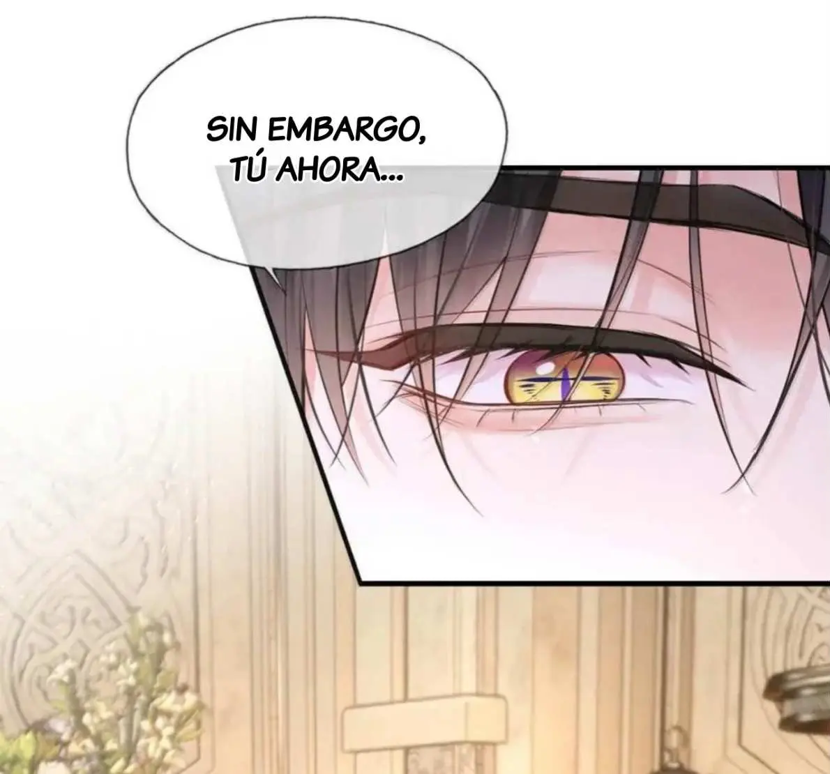 Objetivo Estratégico capítulo 23 página 26