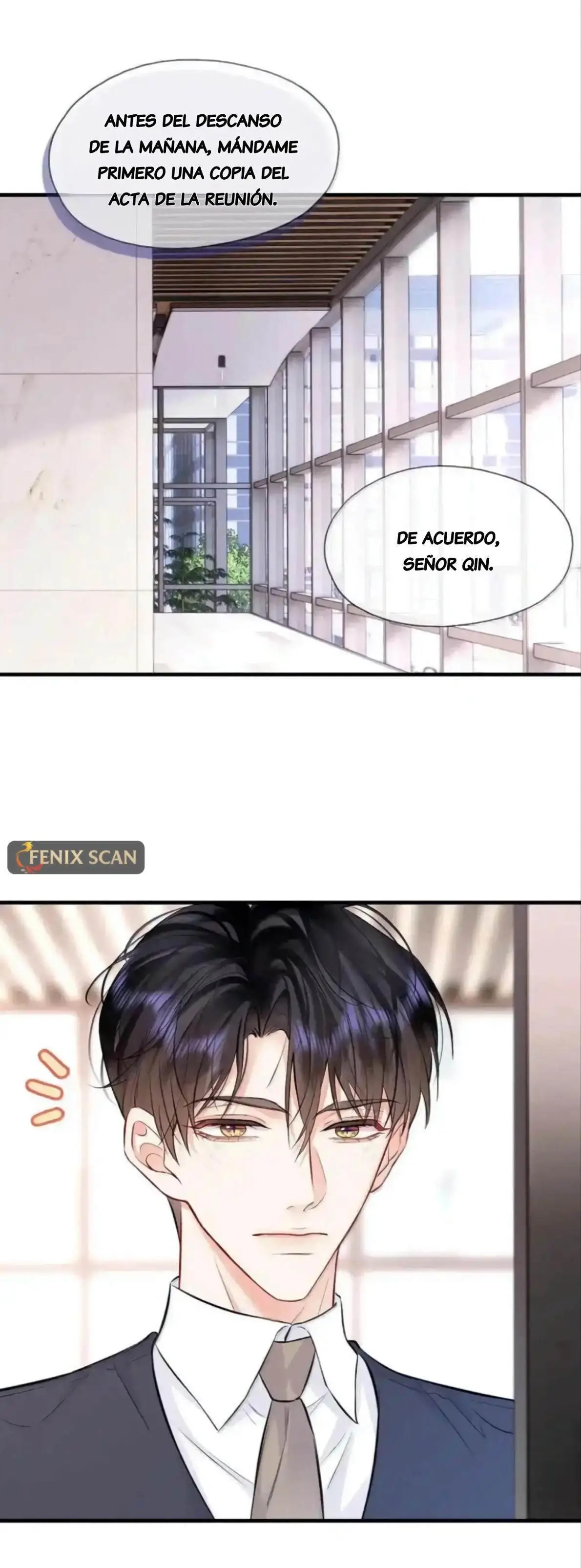 Objetivo Estratégico capítulo 37 página 4