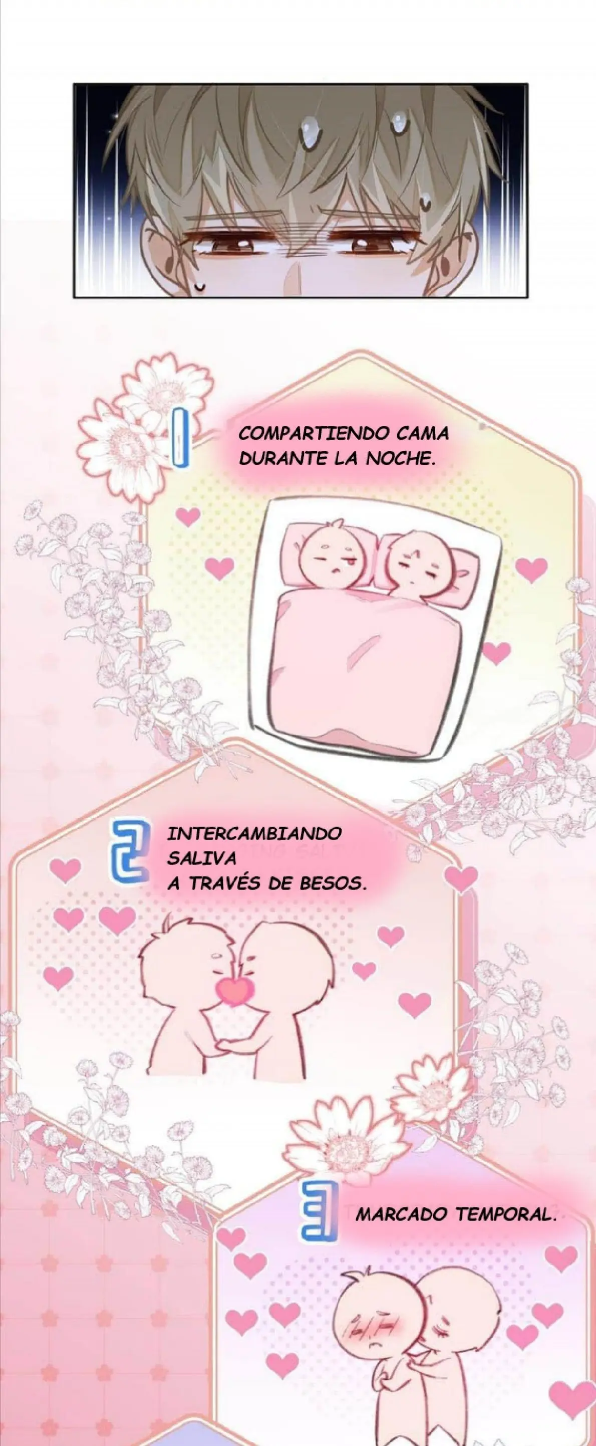 Me Gustan Sus Feromonas capítulo 19 página 18