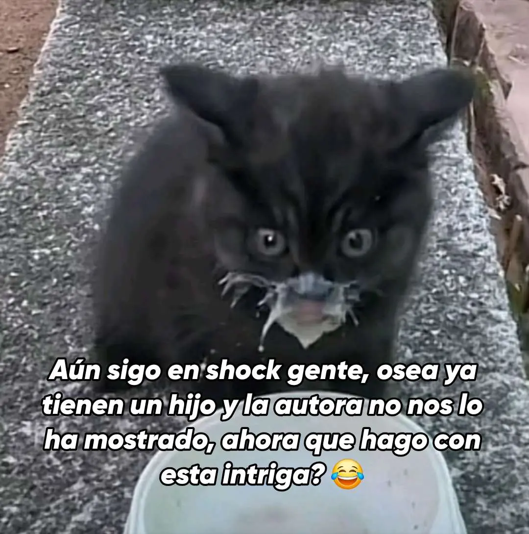 Tame capítulo 23 página 13