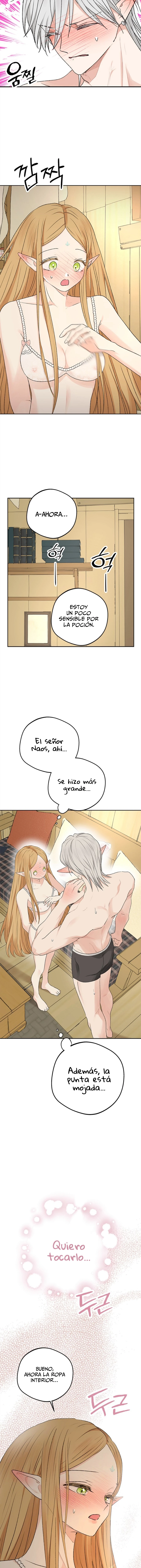Apareamiento De Elfos capítulo 11 página 15