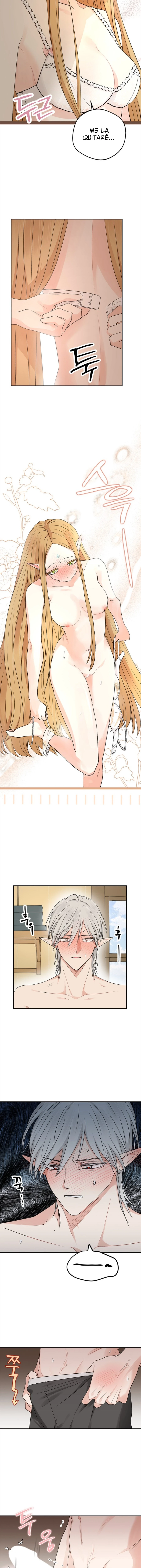 Apareamiento De Elfos capítulo 11 página 16