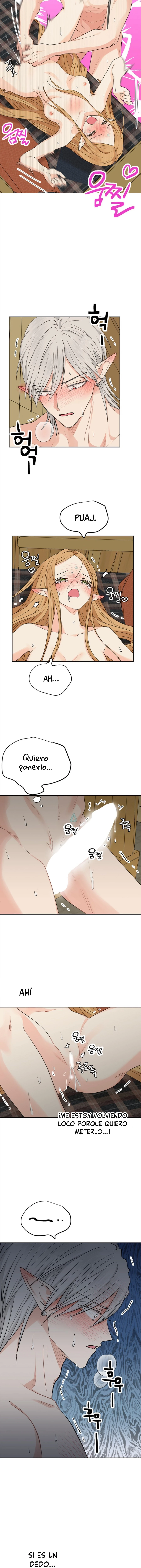 Apareamiento De Elfos capítulo 12 página 14