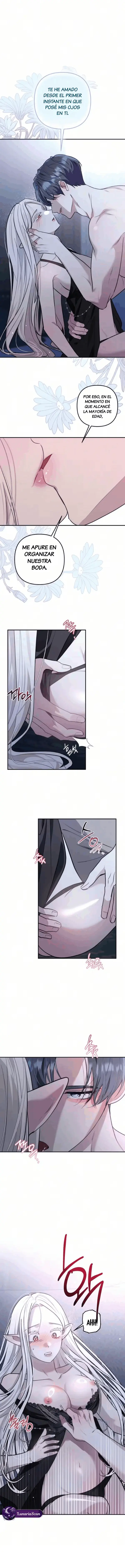 Para Belumia capítulo 1 página 13