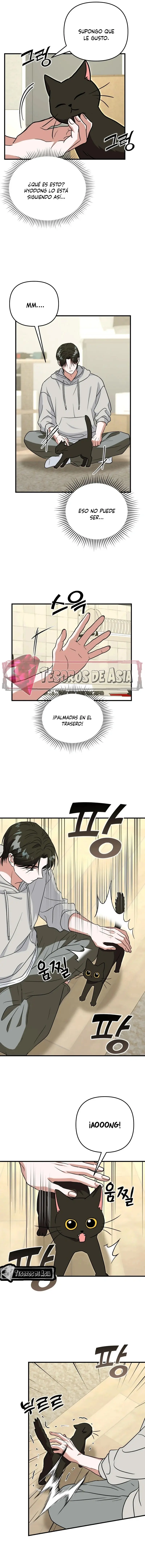 Mi gatito obediente capítulo 7 página 4