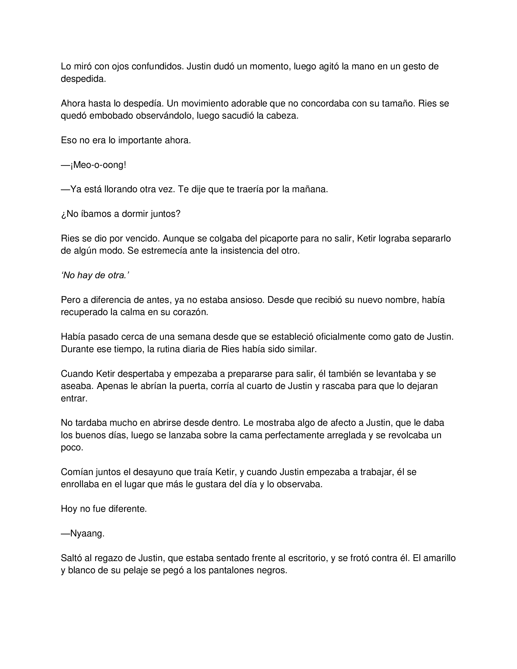 El gato está en huelga capítulo 13 página 3