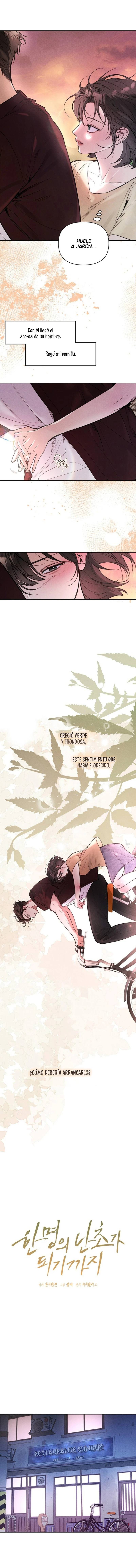 Hasta convertirse en una orquídea capítulo 12 página 10