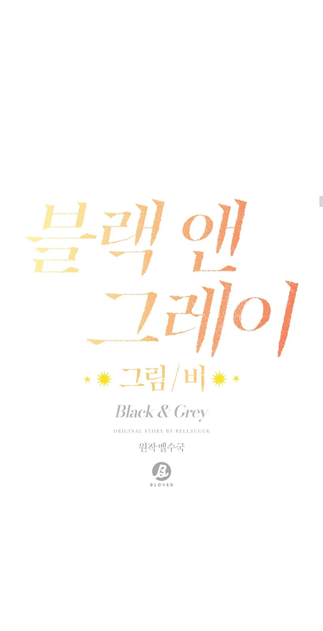 Negro y Gris capítulo 30 página 10