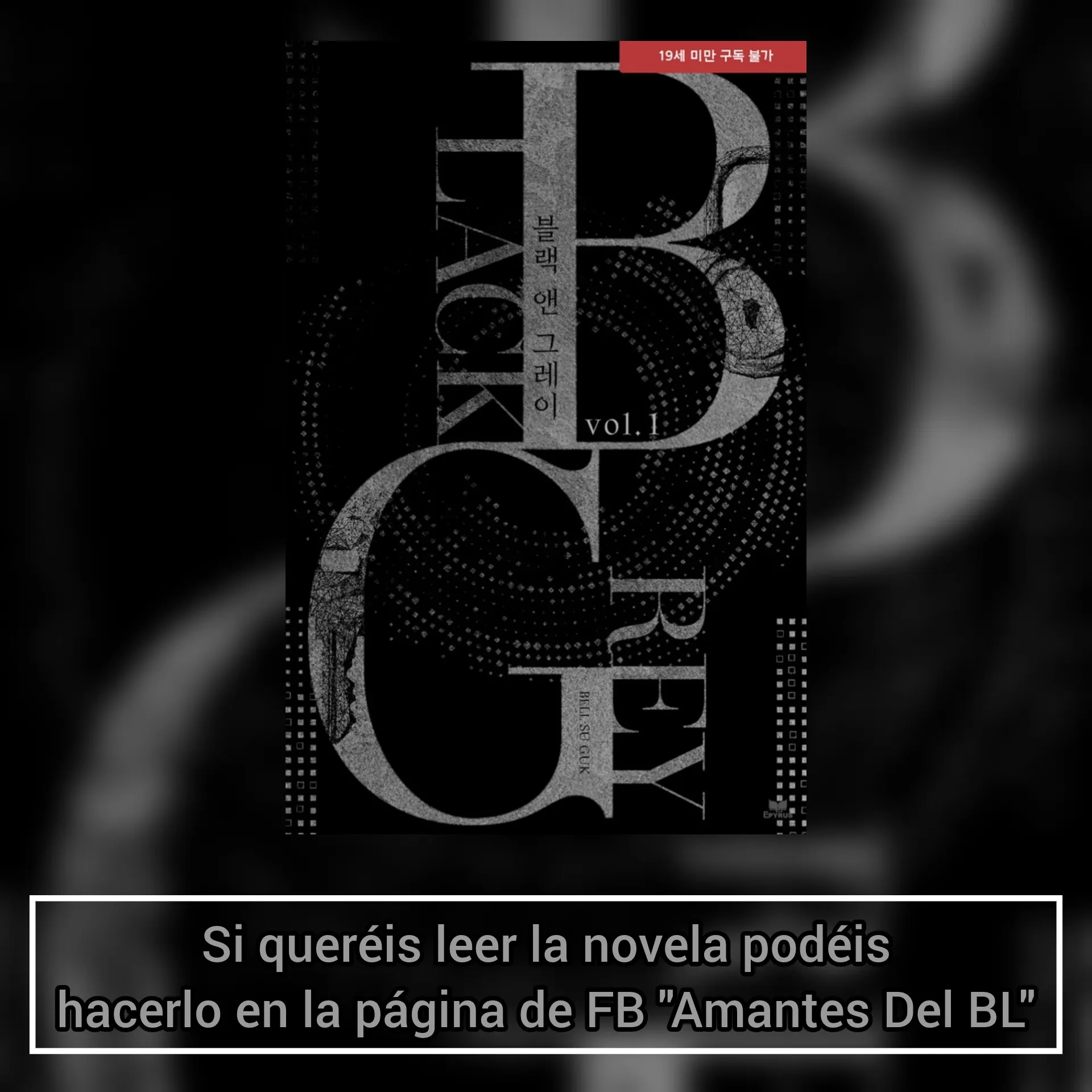 Negro y Gris capítulo 6 página 38