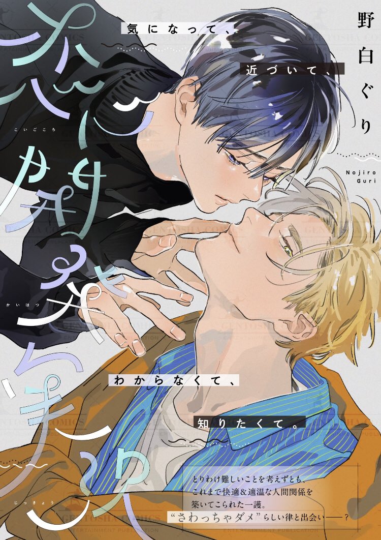 Portada de Koigokoro Kaihatsu Jikkyou - Love Development Live