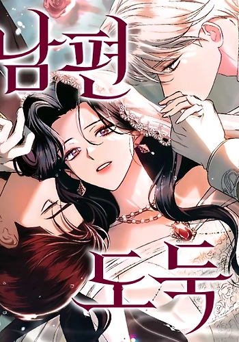 Portada de Ladrona De Esposos