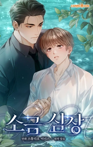 Portada de corazon salado