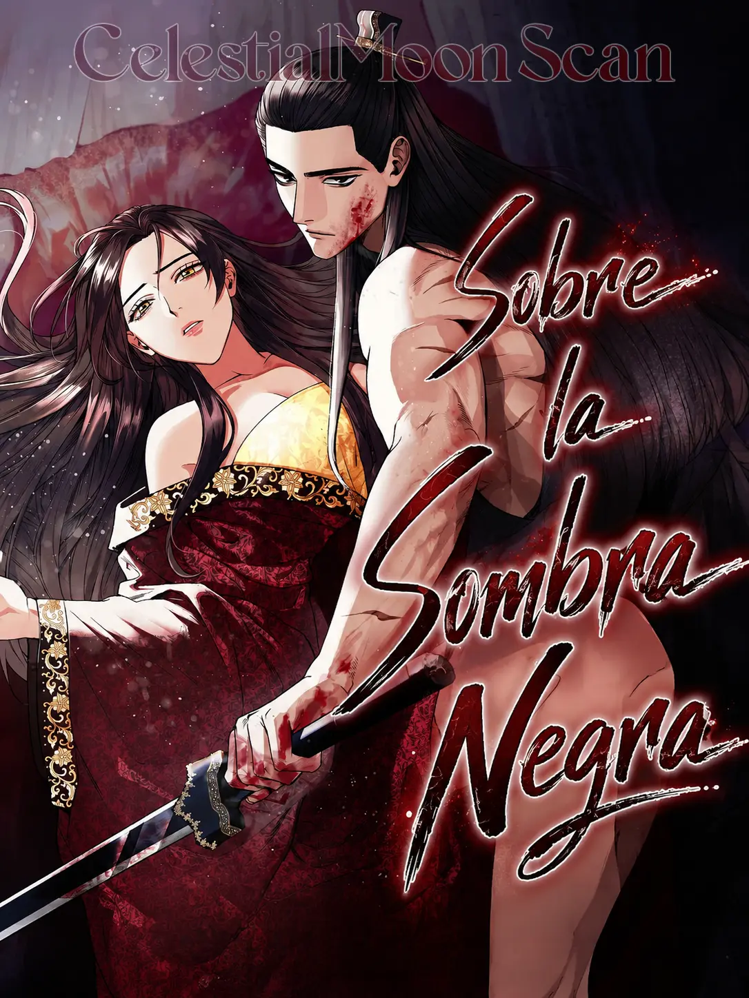 Portada de Sobre la Sombra Negra