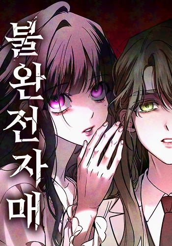Portada de Hermanas Imperfectas